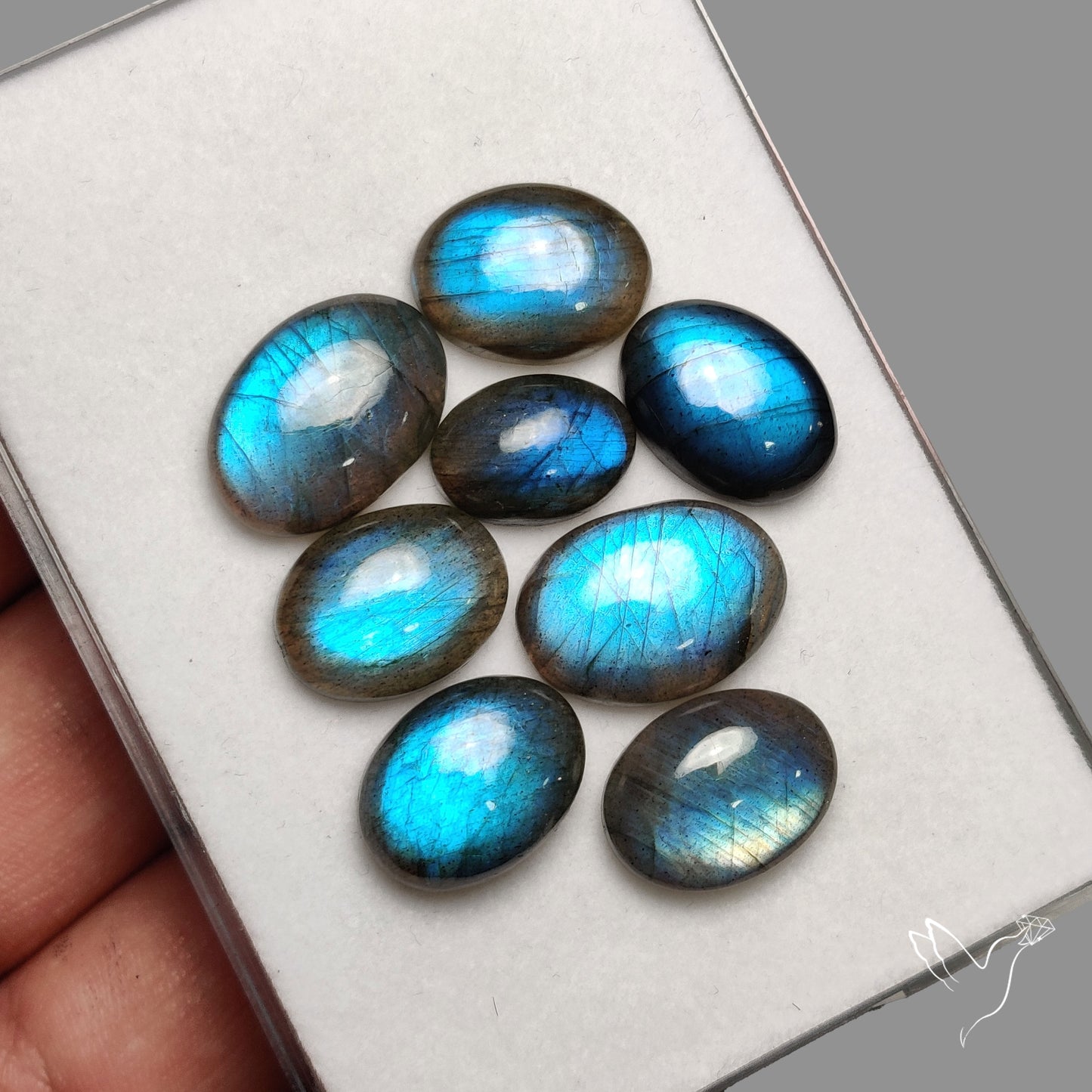 Blue Labradorite Lot