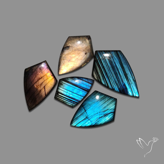 Blue Labradorite Lot