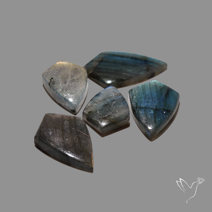 Blue Labradorite Lot