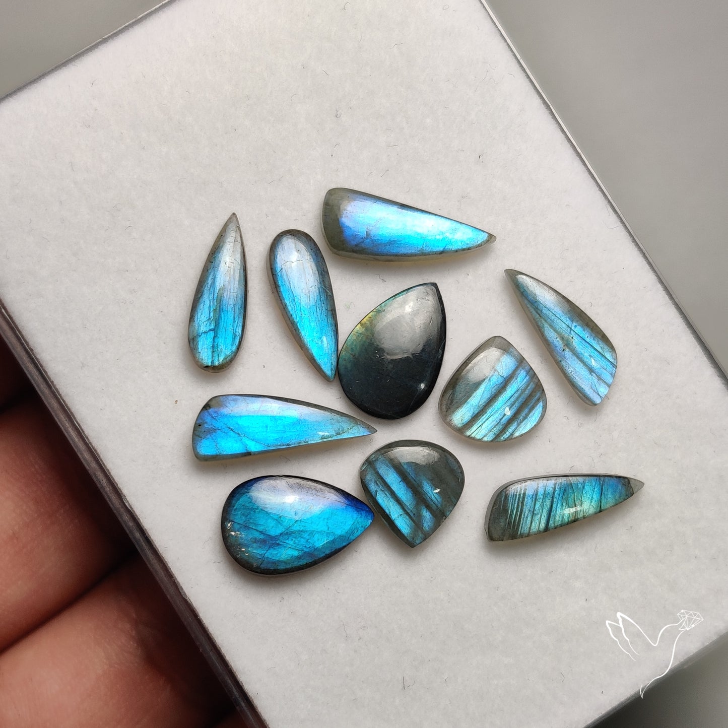Blue Labradorite Pairs Lot