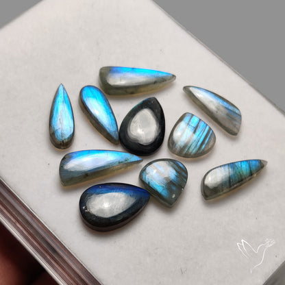 Blue Labradorite Pairs Lot