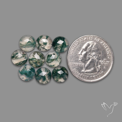Rose Cut Moss Agate Rounds Lot