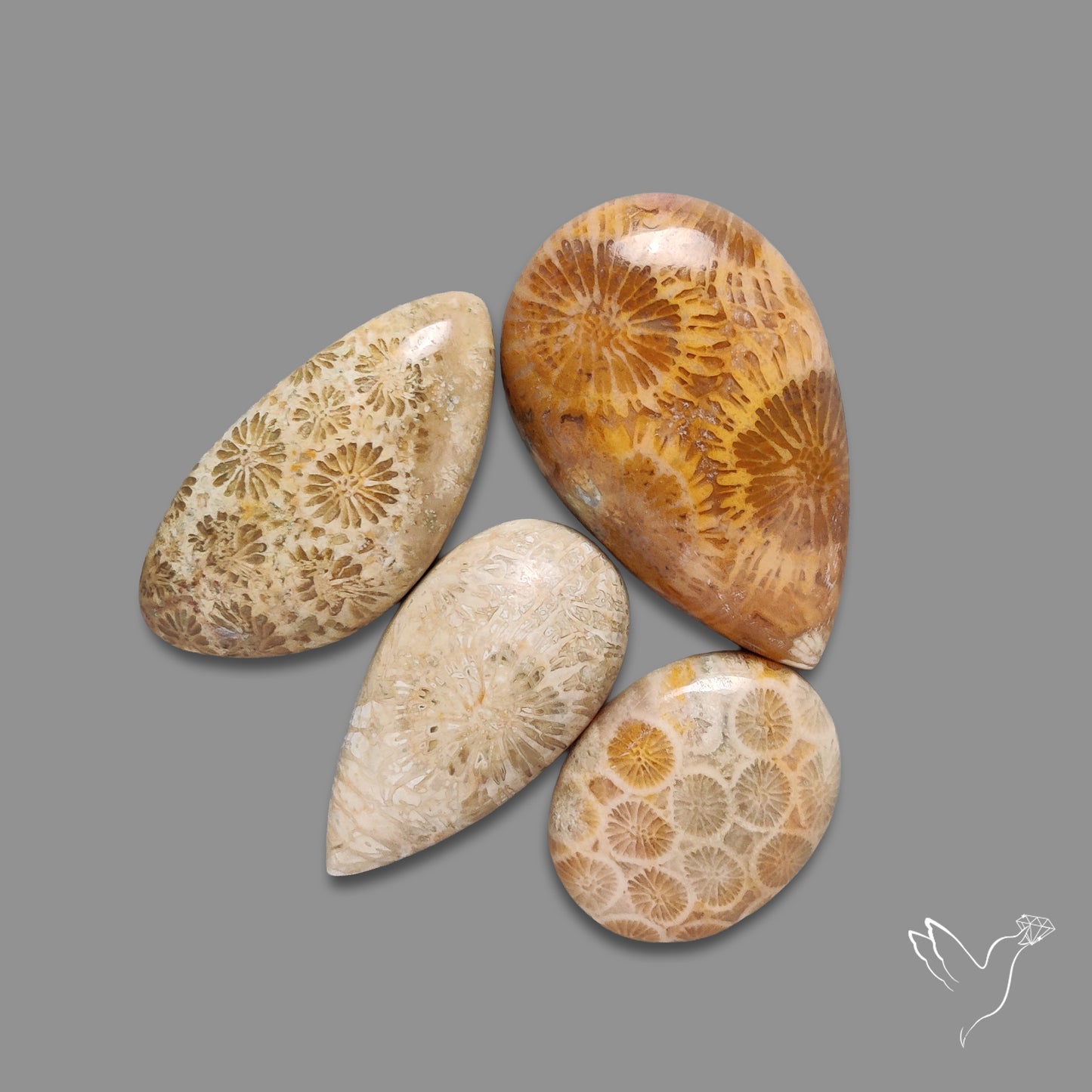 Fossil Coral Cabochons Lot