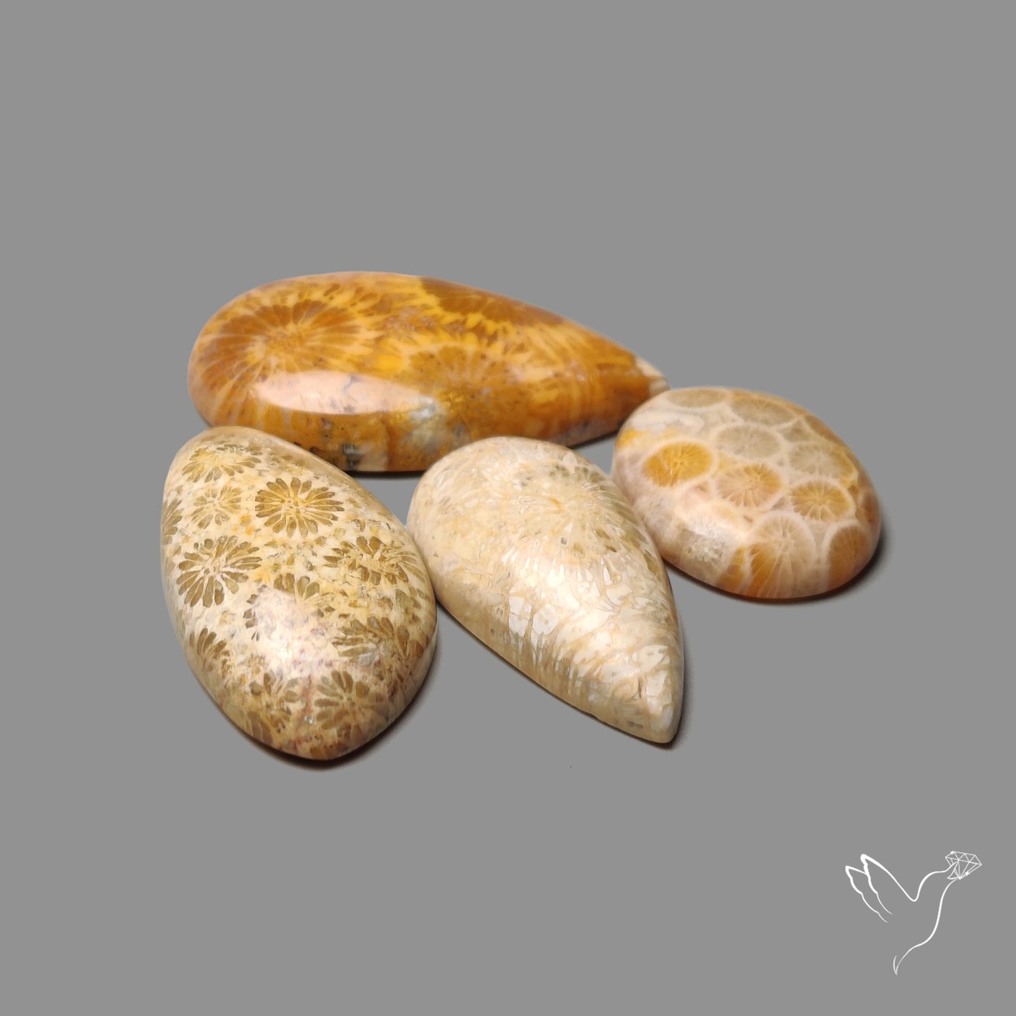 Fossil Coral Cabochons Lot
