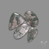 Horse Canyon Moss Agate Cabochons Lot