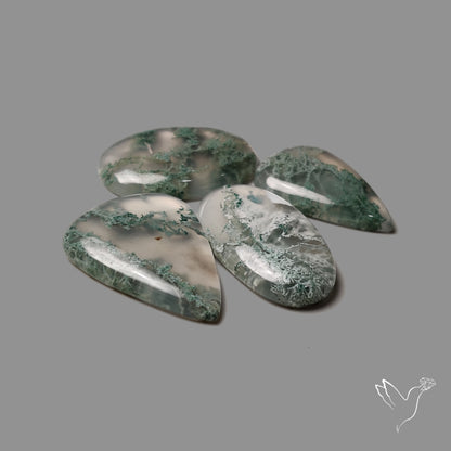 Horse Canyon Moss Agate Cabochons Lot