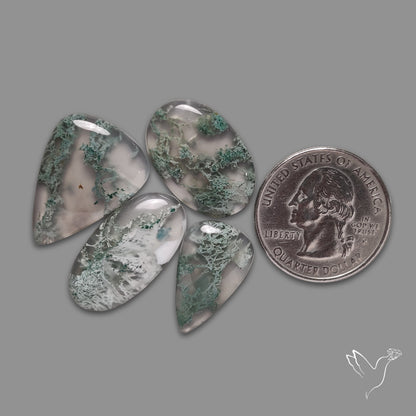 Horse Canyon Moss Agate Cabochons Lot