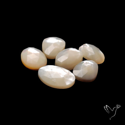 Rose Cut Mother Of Pearl Lot