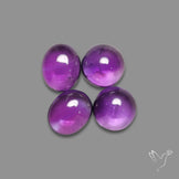 Amethyst Cabochons Lot