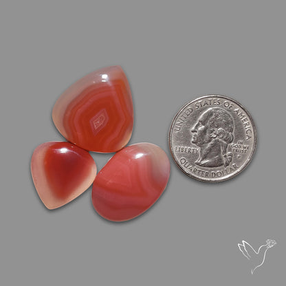Lake Superior Agate Cabochons Lot