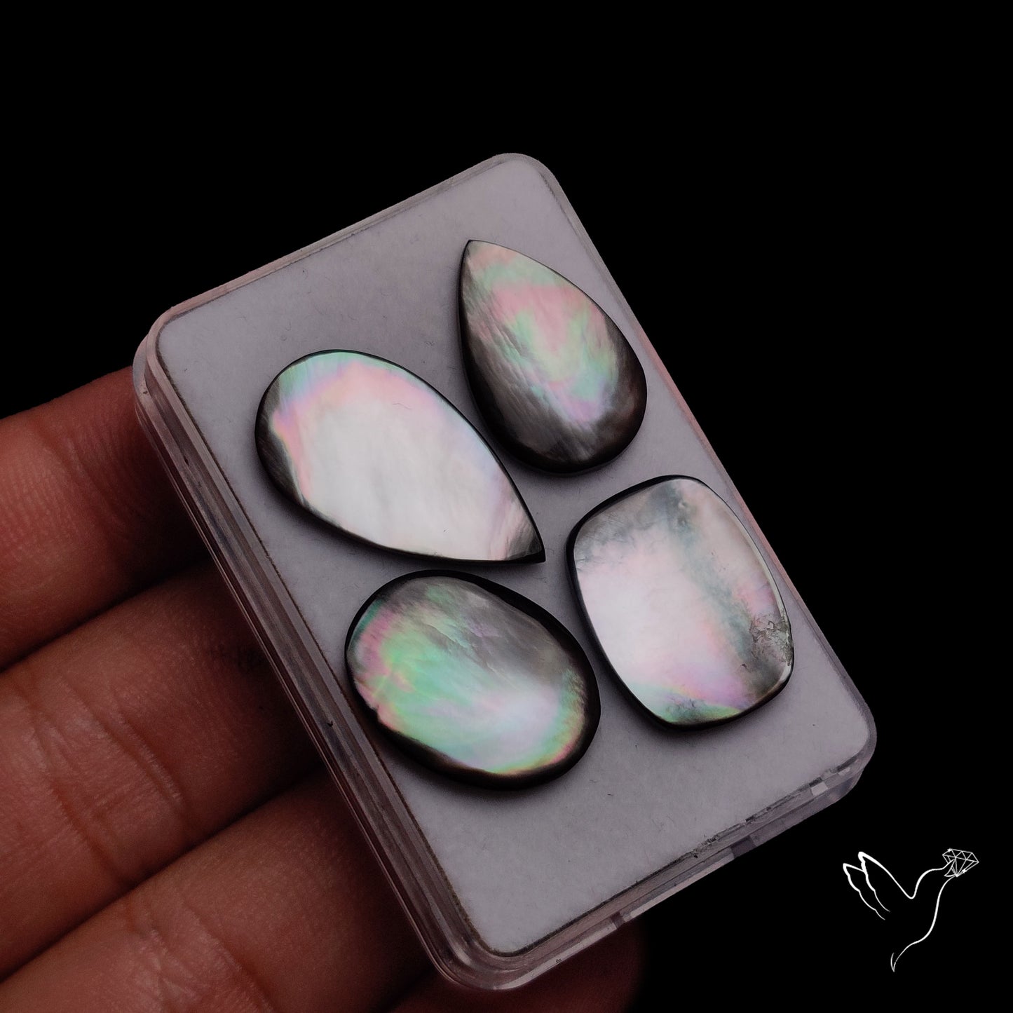 Tahitian Black Mother Of Pearl Lot