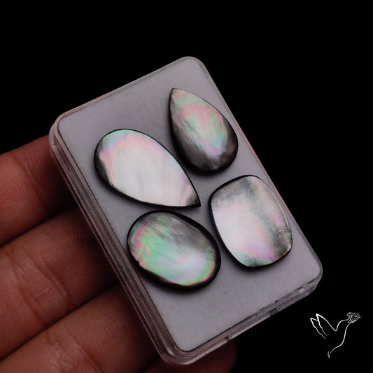 Tahitian Black Mother Of Pearl Lot