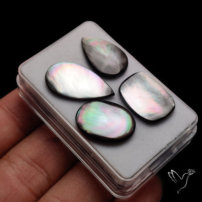 Tahitian Black Mother Of Pearl Lot