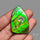 Rare Large Ammolite Green Sheen Natural Specimen