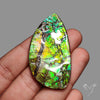 Blue Green Ammolite Natural Specimen with Hints of Orange