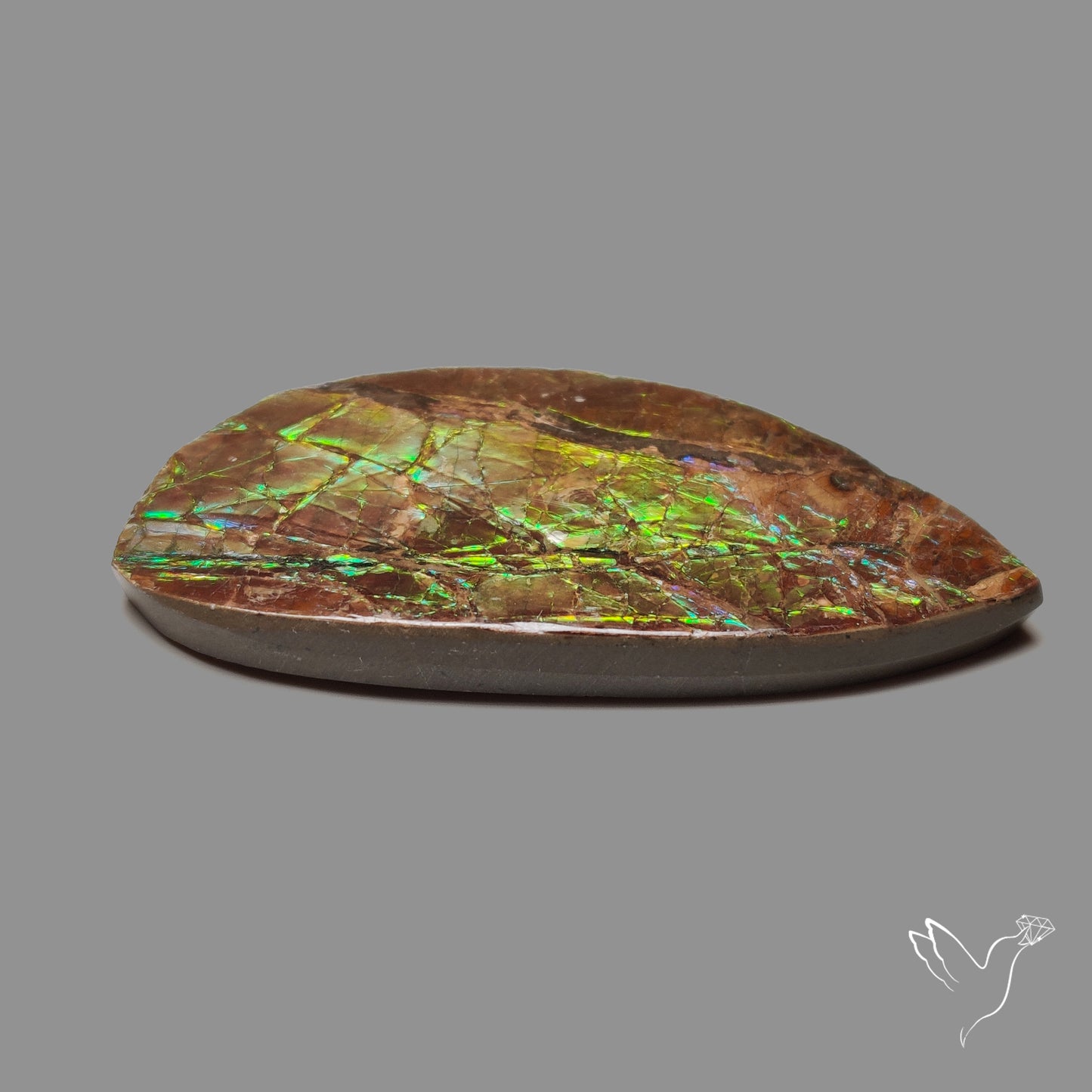 Blue Green Ammolite Natural Specimen with Hints of Orange