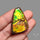 Large Multi Color Ammolite Specimen