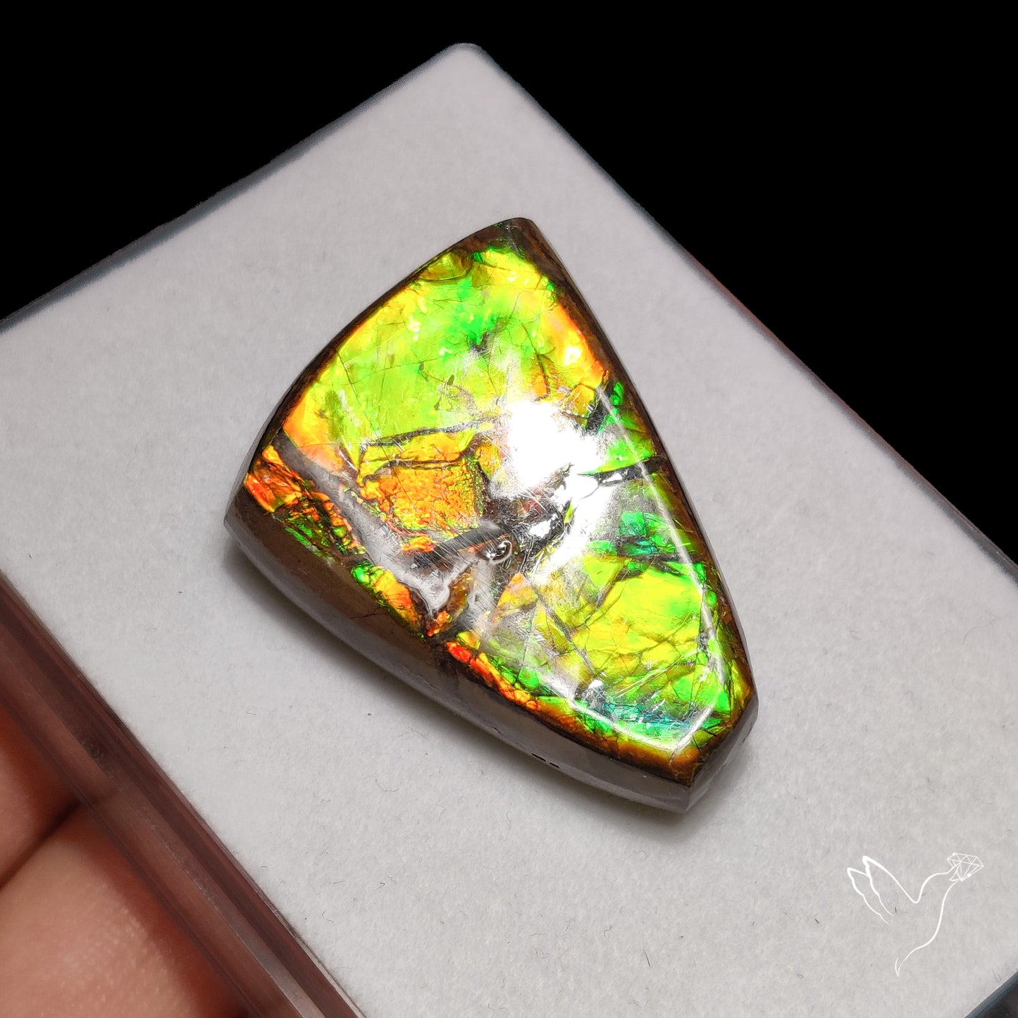 Large Multi Color Ammolite Specimen