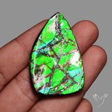 Ammolite Specimen Teal Blue Green Large Specimen