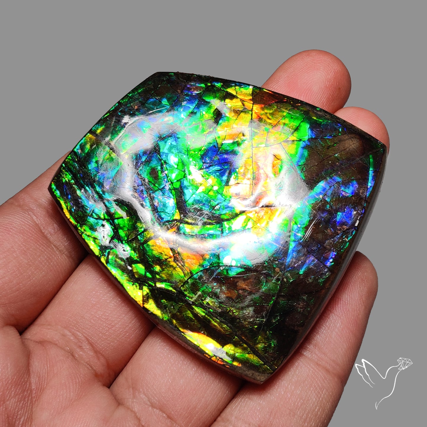 Multi Color Natural Ammolite Large Rainbow Sheen Specimen