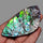 Large Ammolite Blue Green Golden Sheen Large Specimen