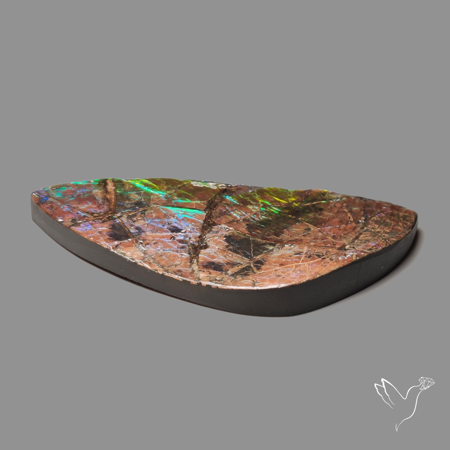 Large Ammolite Blue Green Golden Sheen Large Specimen