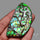Deep Green Ammolite Large AAA Specimen