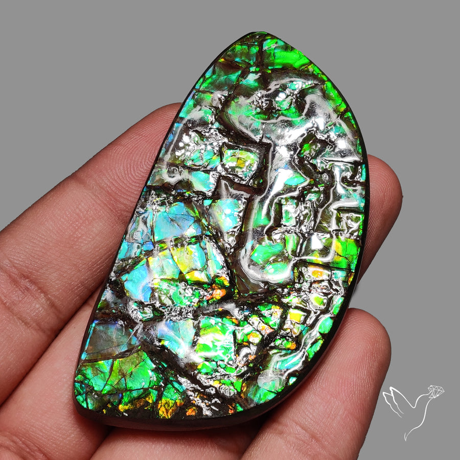 Deep Green Ammolite Large AAA Specimen