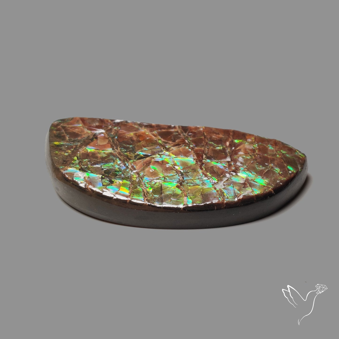 Deep Green Ammolite Large AAA Specimen