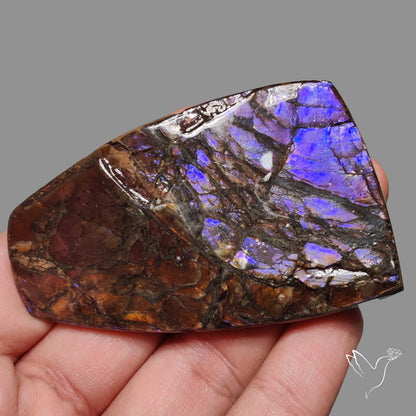 Uber Rare Purple Ammolite Specimen Rare