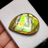 Multi Color Ammolite Specimen