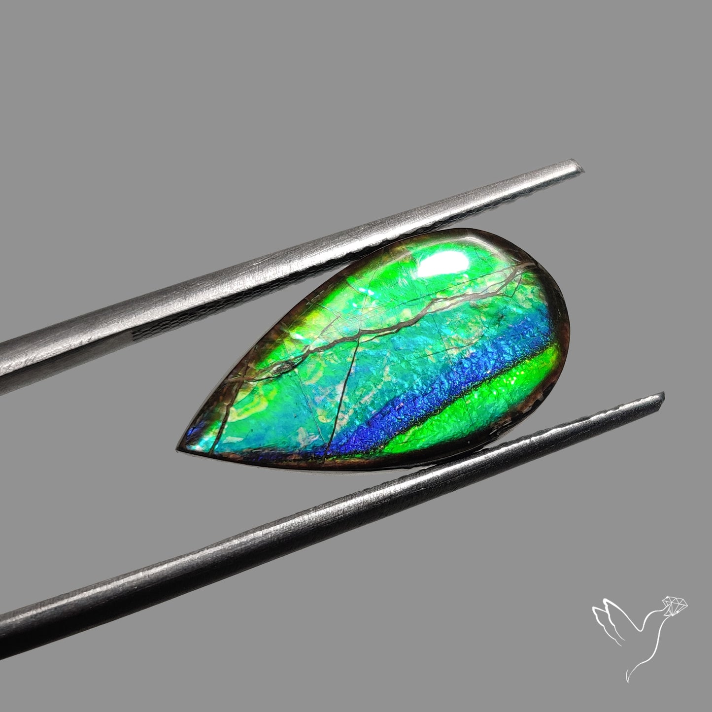 AAA Blue Green Ammolite Cabochon