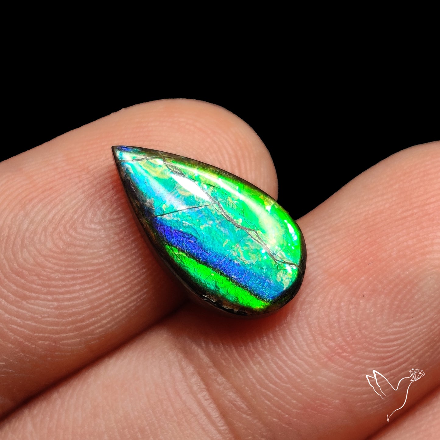 AAA Blue Green Ammolite Cabochon
