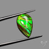 AAA Green Ammolite Cabochon
