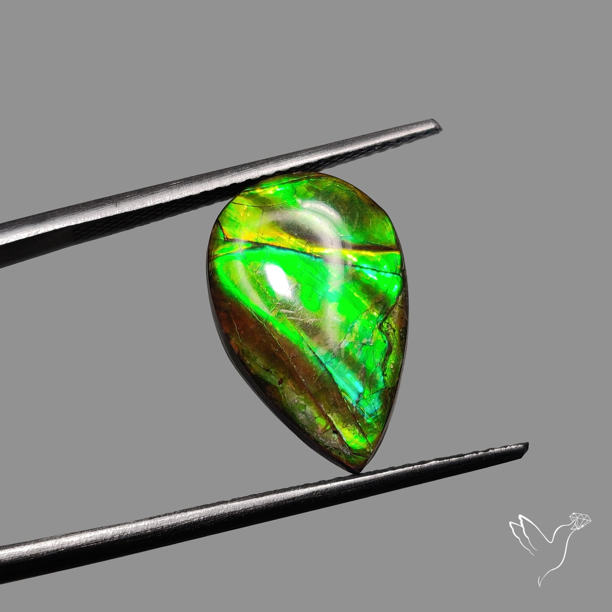 AAA Green Ammolite Cabochon