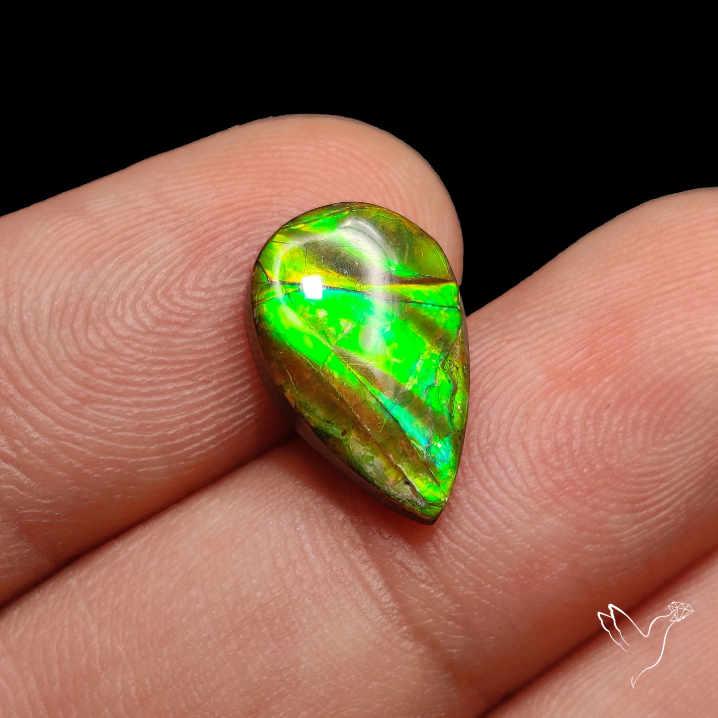 AAA Green Ammolite Cabochon