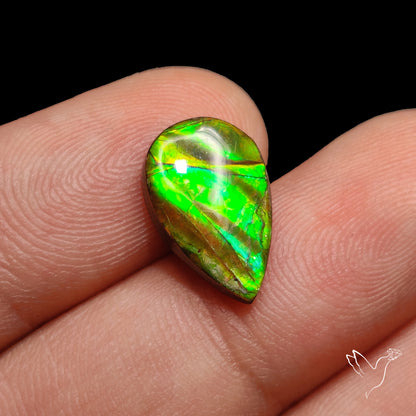 AAA Green Ammolite Cabochon