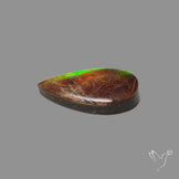 AAA Green Ammolite Cabochon