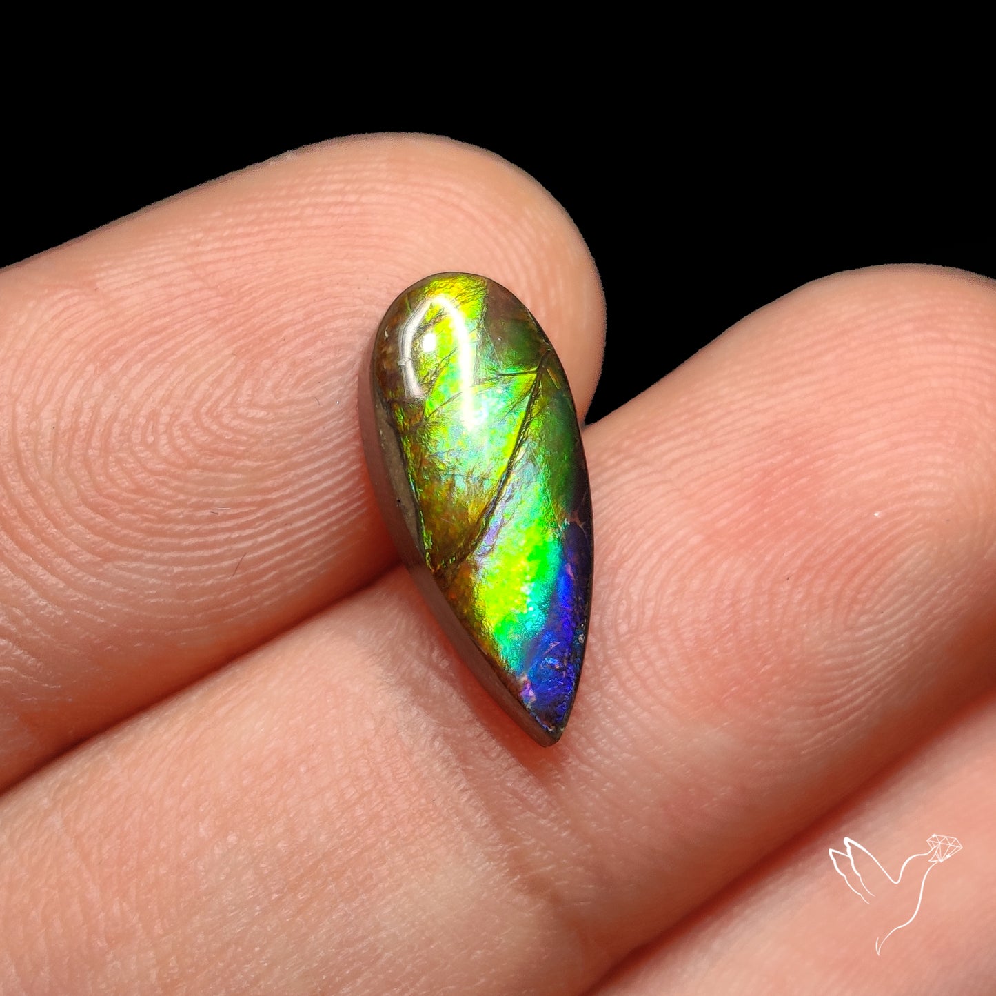 AAA Blue Green Ammolite Cabochon