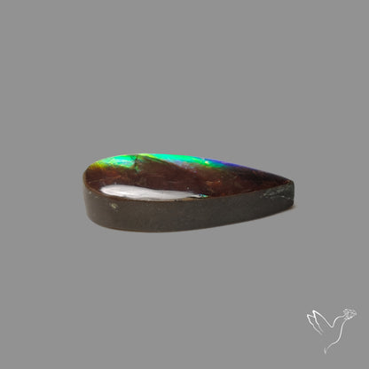 AAA Blue Green Ammolite Cabochon