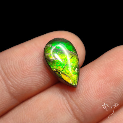 AAA Green Ammolite Cabochon