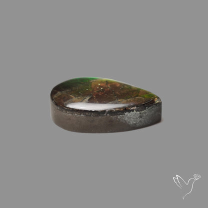 AAA Green Ammolite Cabochon