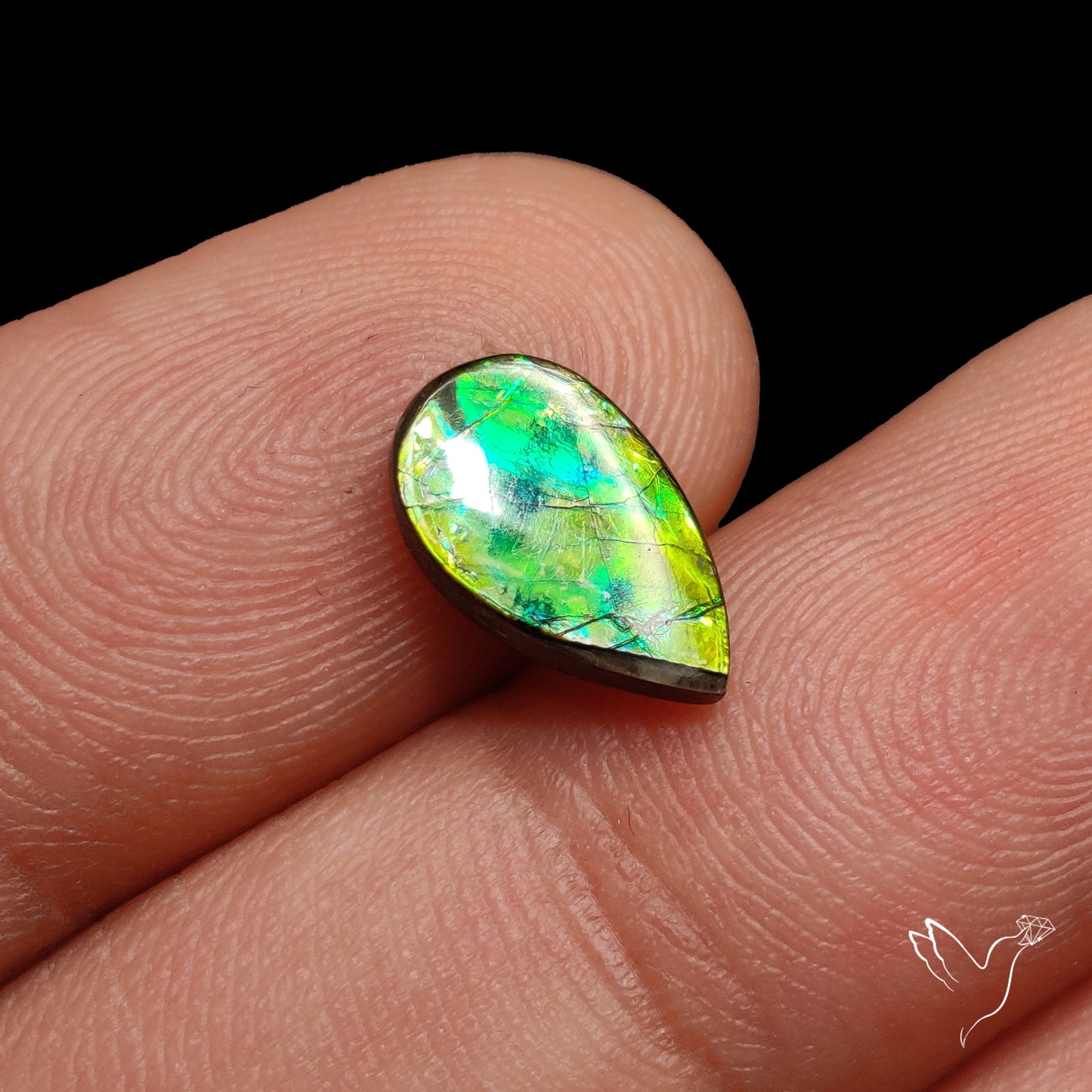 AAA Multi Color Ammolite Cabochon