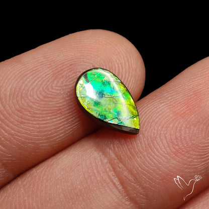 AAA Multi Color Ammolite Cabochon