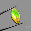 AAA Lime Green Ammolite Cabochon