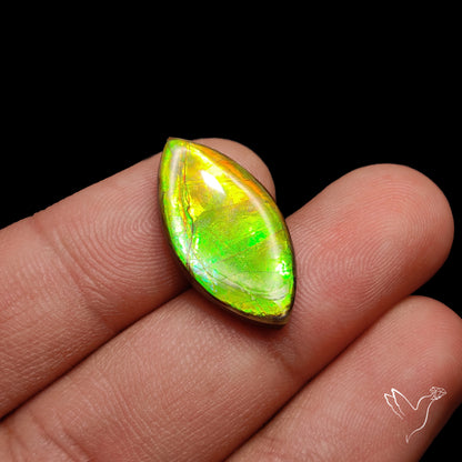 AAA Lime Green Ammolite Cabochon