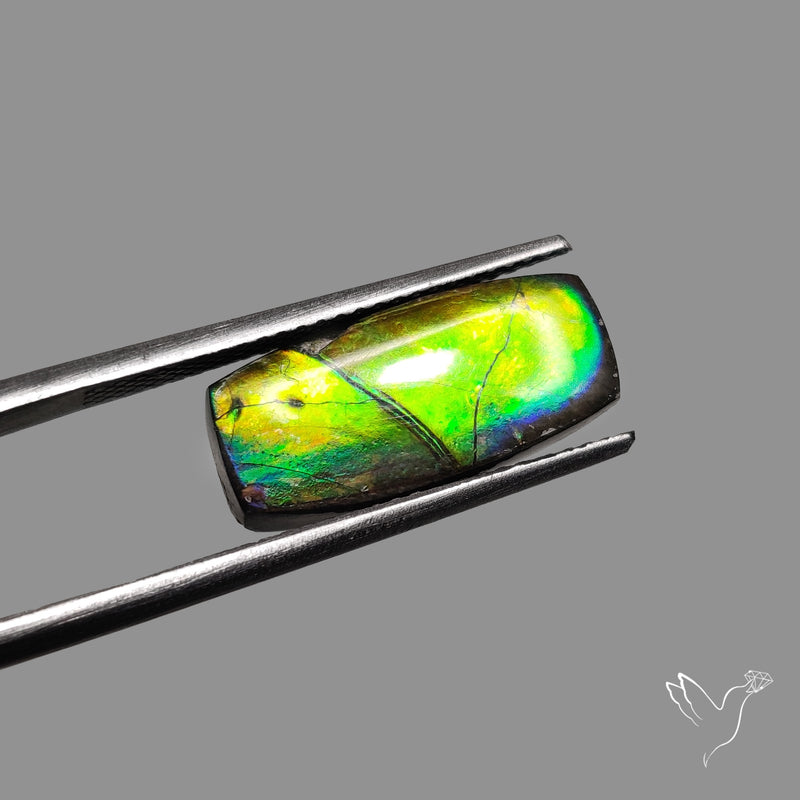 AAA Electric Green Ammolite Cabochon