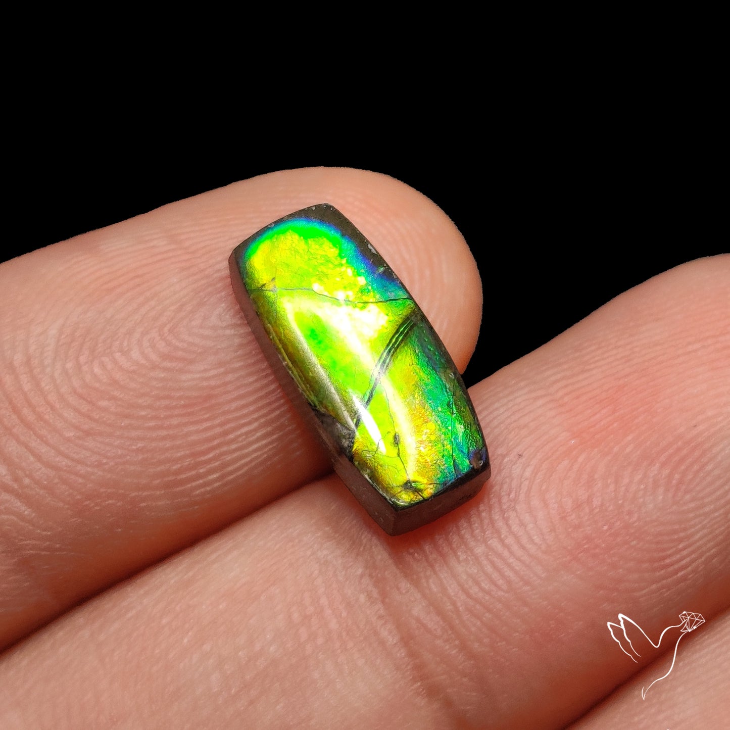AAA Electric Green Ammolite Cabochon