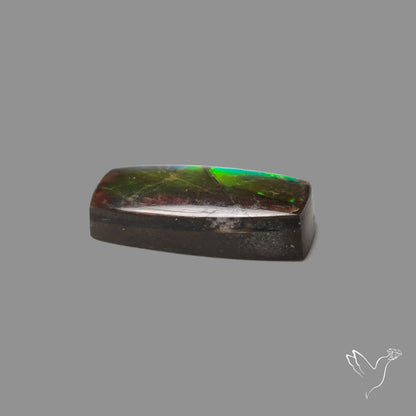 AAA Electric Green Ammolite Cabochon