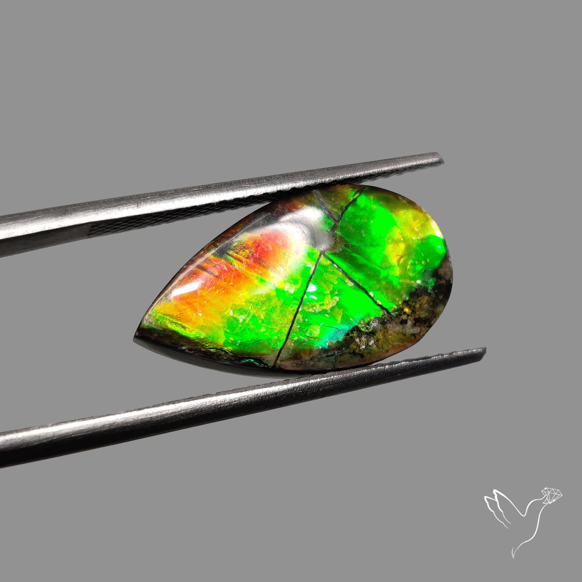AAA Multi Flash Green Ammolite Cabochon